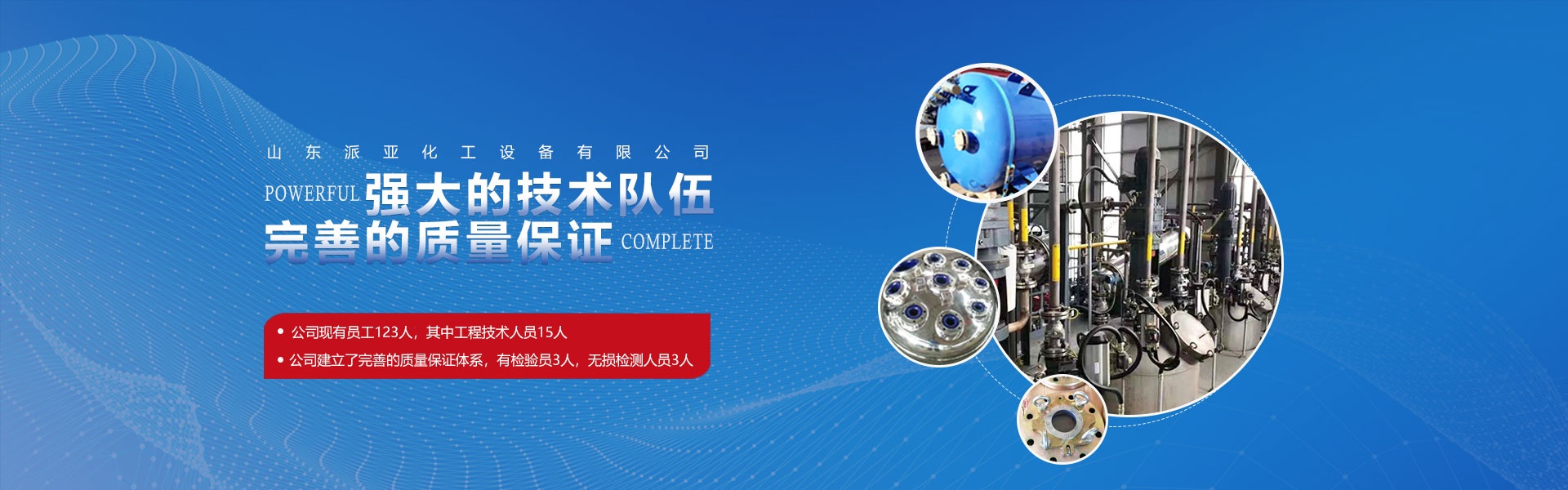 山东派亚化工设备有限公司}